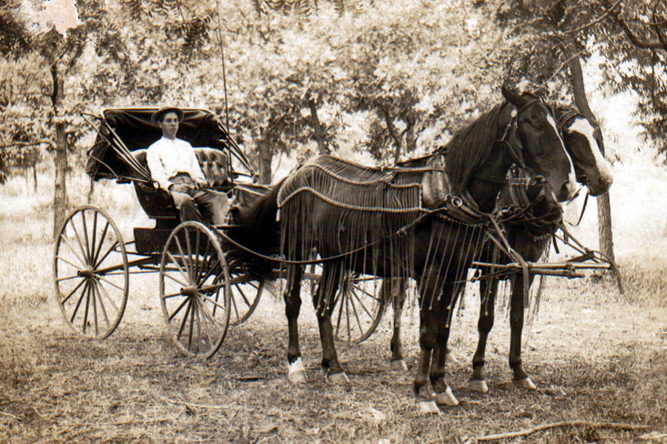 Horse_and_buggy_1910