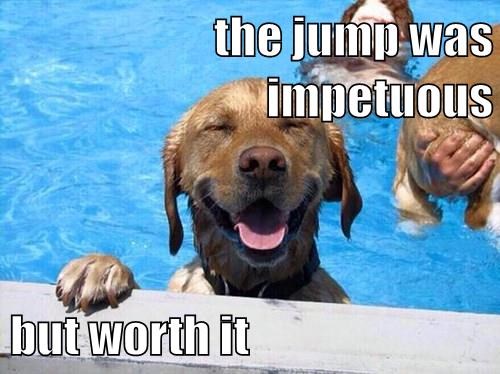 impetuous worth it meme